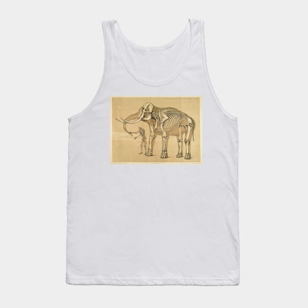 Vintage Elephant and Human Skeleton Illustration Tank Top by Bravuramedia